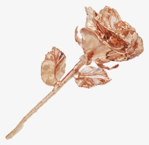 Rose-gold - Rose Gold Png