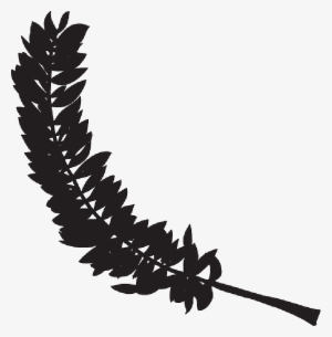 Mb Image/png - Feather Silhouette Transparent