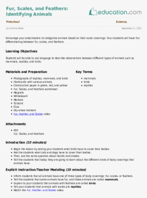 Fur, Scales, And Feathers - Lesson Note On Social Studies