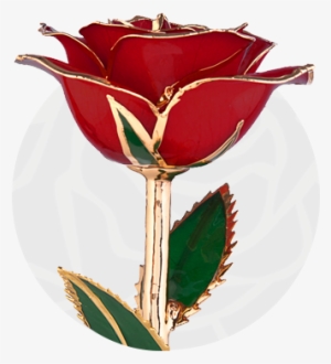 24k Gold-dipped Roses - Rose