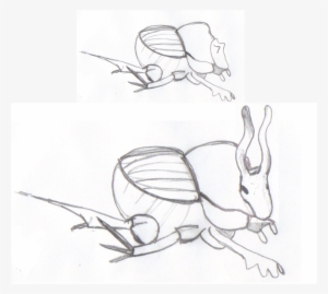 Macho Con Cuernos Y Sin Cuernos De Escarabajo O - Phenotype
