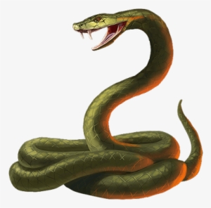 Snake Cobra - Snake Transparent