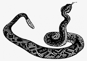 Snake - Rattlesnake Clipart Black And White