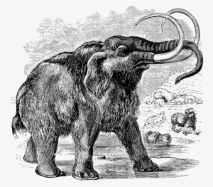 Mammoth Png