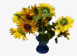 Clip Transparent Download In Stock By Annamae On Deviantart - Vase