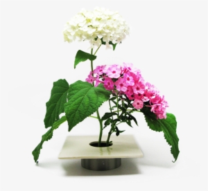 Ichiban Vase - Beekman 1802 Llc