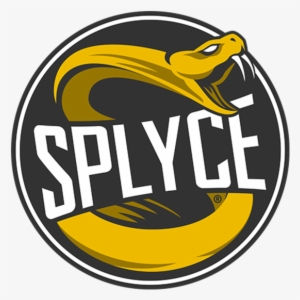 Team Splyce