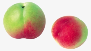 Jpg Library Green Png Image Purepng Free Cc Library - Peach