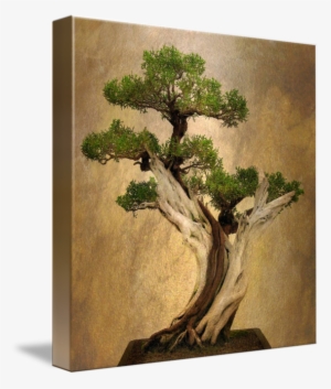 Picture Freeuse Stock Asian By Jessica Jenney - Canvas Print