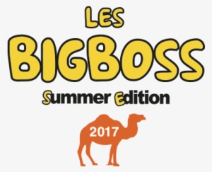 Big Boss - 2018