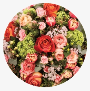 Pastel Colour Scheme - Garden Roses