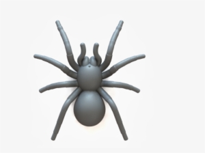 Spider Tarantula 3d Print - Tarantula Print Out
