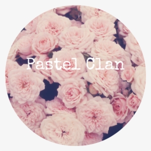 Pastel Banner - Trans Boy Aesthetic