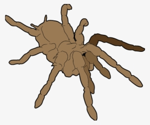 Small - Chaveiro Do Tarantula