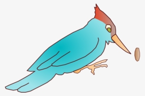 Woody Woodpecker Bird Drawing Download - Draw A Cartoon Woodpecker