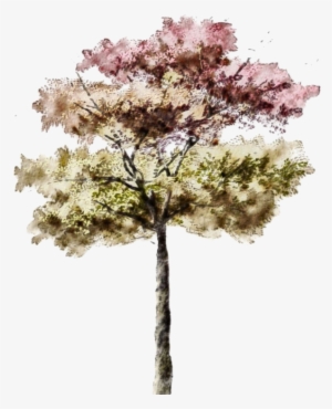 This Is A Test On Posting From Email - Architecture Rendering Photoshop Trees