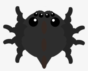 Giant Tarantula Idea- Could Start Off Extremely Small, - Illustration