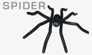 Balloons - Araneus Cavaticus