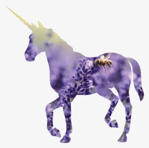 Crop Your Photo Into A Unicorn Shape - Lockscreens Unicorns