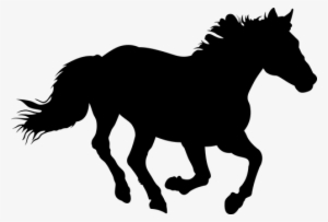 The Horse, Horse, Nature, Animal - Horse