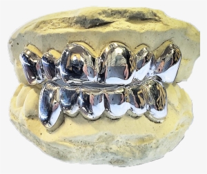 Image Of Solid Classics - Tooth