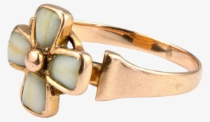 Victorian Baby Tooth Ring Jewelry Antique Milk Teeth - Deciduous Teeth