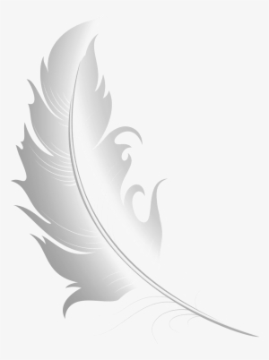 White Feather Free Png Image - Illustration
