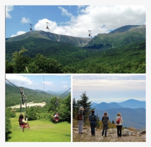 Wildcat - Beautiful View Of Distant Mountains