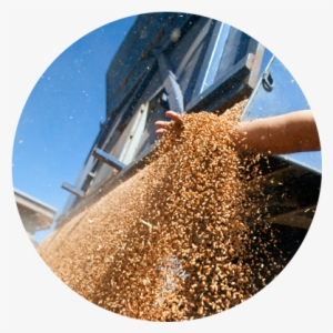 Dust Collection Challenges In The Agricultural Industry