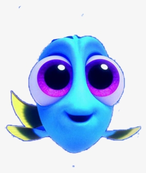 Kind Of Fish Is Dory