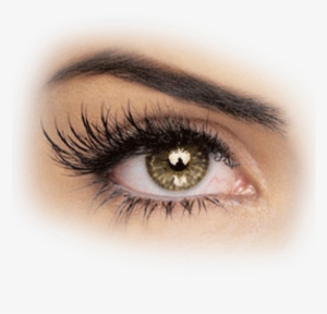 Sensai 38 C Volumising Mascara