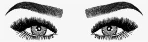 Brows And Lashes Png Graphic - Eyes And Eyebrows Drawings