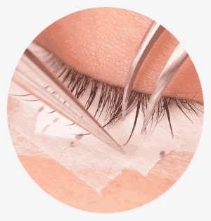 Semi Permanent Eye Lash
