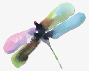 16 Jan 2012 - Watercolor Paint