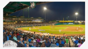 4th Fest Constellation Field