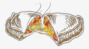 Dough Calzone - D.p. Dough