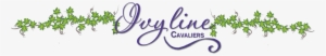 Ivyline Cavaliers - Cleveland Cavaliers