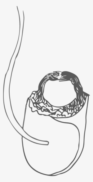 I Originally Didn't Want To Draw And Just Use Photo - Infant