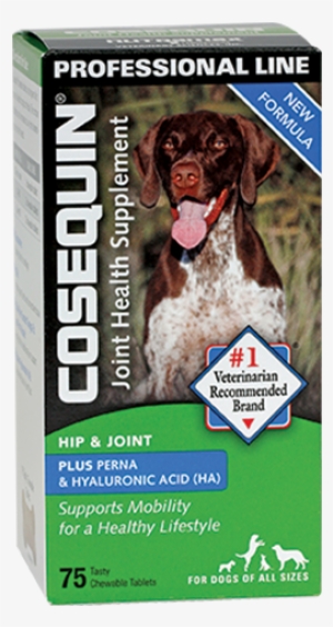 Container Of Cosequin Standard Strength Plus - Cosequin Standard Strength Plus Boswellia And Ha 75