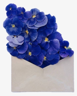 Aesthetic, Flowers, And Png Image - Flowers In The Envelope