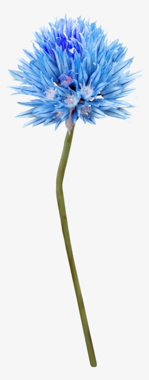 Transparent Blue Thistle Png