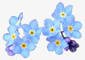 Flowers Sticker - Forget-me-not Blossom