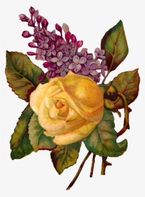 Digital Rose Clip Art - Antiqueimages Blogspot Com Corner