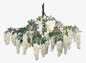 Wisteria White Hanging Branch 150cm - Wisteria