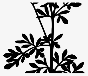 Herbs Clipart Silhouette - Samsung Rude & Gliceryn Soap 3.3 Oz - Jabon De