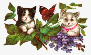 Digital Cat Clip Art - Vintage Kitty-katzen Und Schmetterling Karte