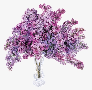 Cascading Wisteria - Transparent Lilac