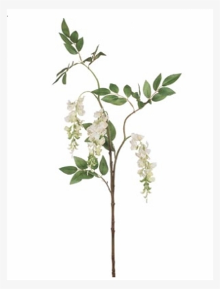 Svobodny