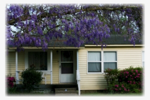 Wild Things Grow - Siding