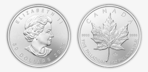 Monex Product Palladium Maple Leaf Coins - 2017 Silver Krugerrand